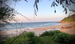 Entrada exclusiva a la playa Arenal de Morís a través de la vegetación natural del entorno de la casa.